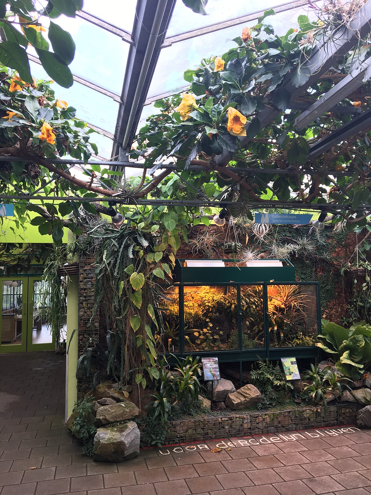 Botanische Tuinen Utrecht, a garden in Utrecht