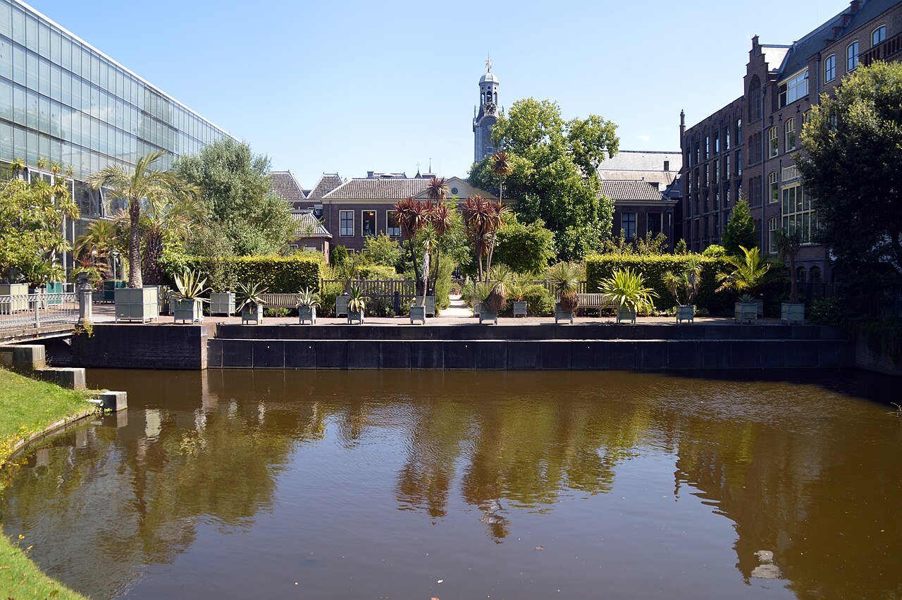 Hortus Botanicus Leiden, a garden in Leiden