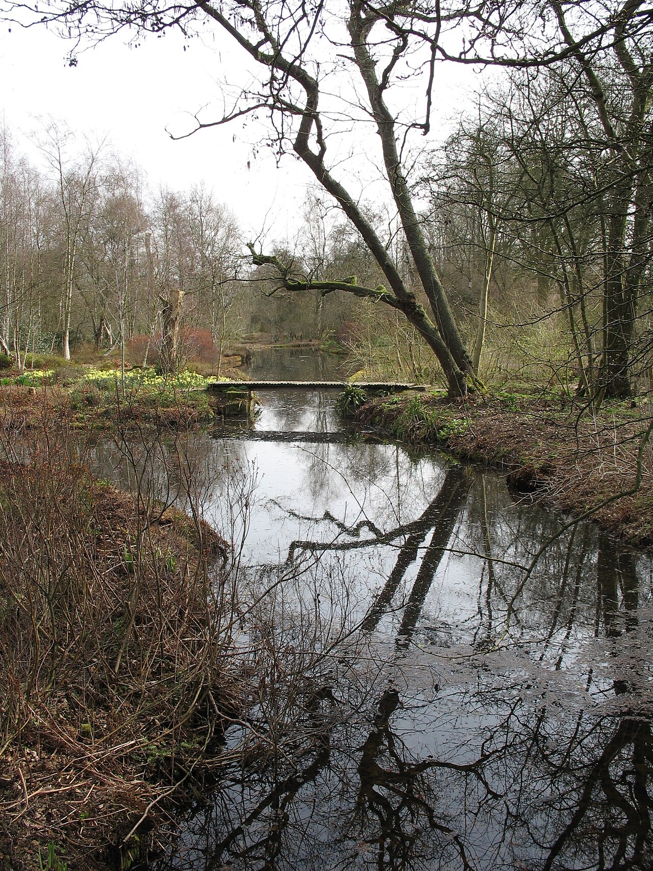 Jac. P. Thijssepark, a garden in Amstelveen