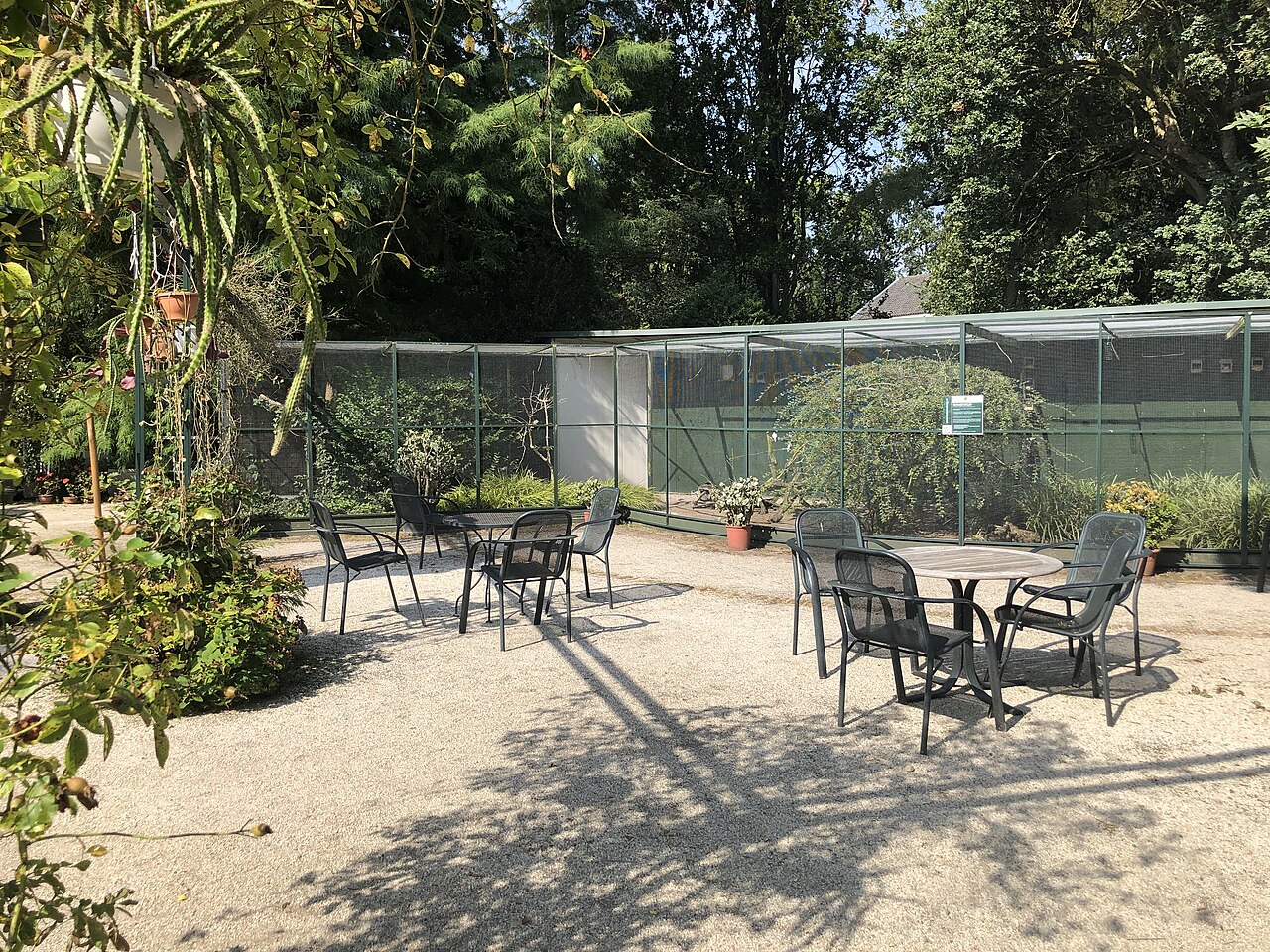 Arboretum Trompenburg in Rotterdam